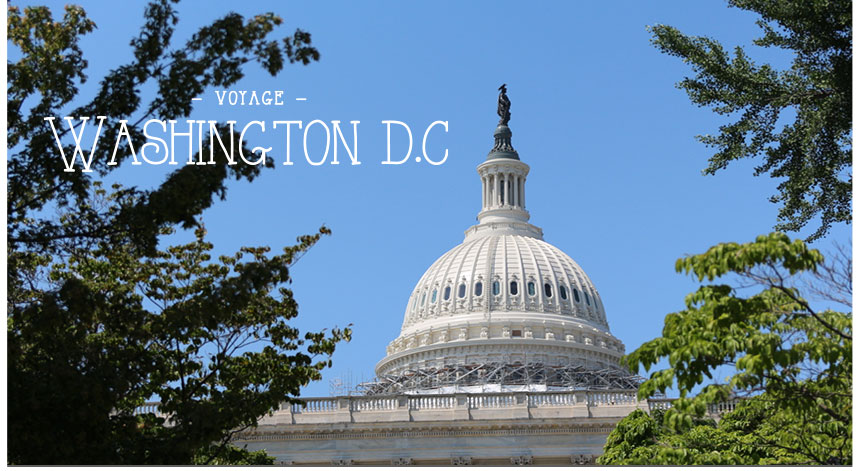 Washington DC – 1ère partie